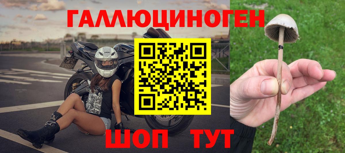 Галлюциногенные грибы Cubensis  Галлюциногенные грибы Cubensis  Вход с VPN  Сорочинск 